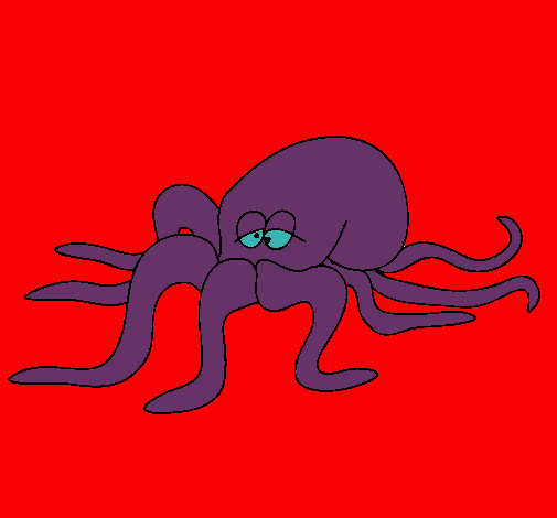 Pulpo