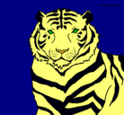 Dibujo Tigre pintado por ana323