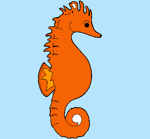 Caballito de mar