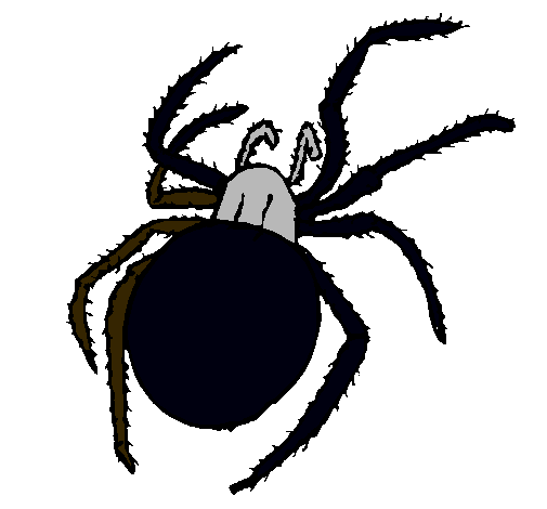 Dibujo Araña venenosa pintado por ALE2004