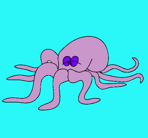 Pulpo