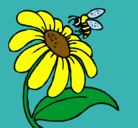 Dibujo Margarita con abeja pintado por raquel201