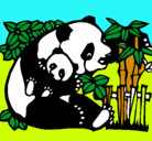 Dibujo Mama panda pintado por camilasol