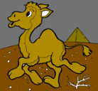 Dibujo Camello pintado por panmtyto