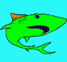 Dibujo Tiburón pintado por MORENA5