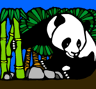 Dibujo Oso panda y bambú pintado por flavya       