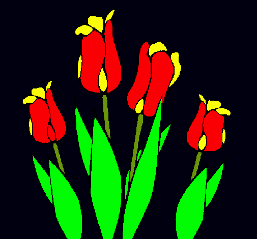 Tulipanes