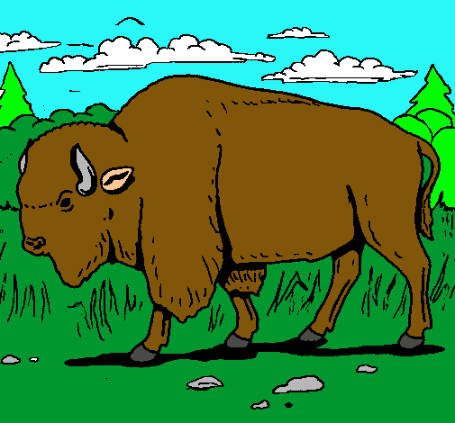 Dibujo Búfalo  pintado por marcelo