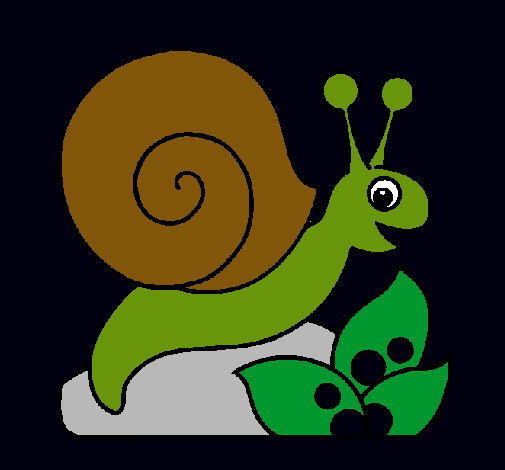 Caracol