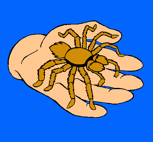 Tarántula