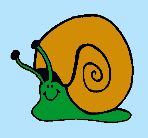 Caracol 