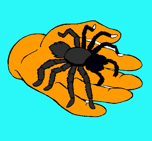 Tarántula