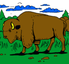 Dibujo Búfalo  pintado por anthony2