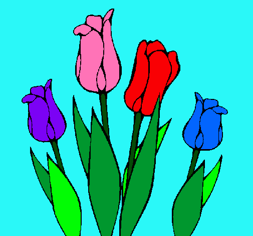 Tulipanes