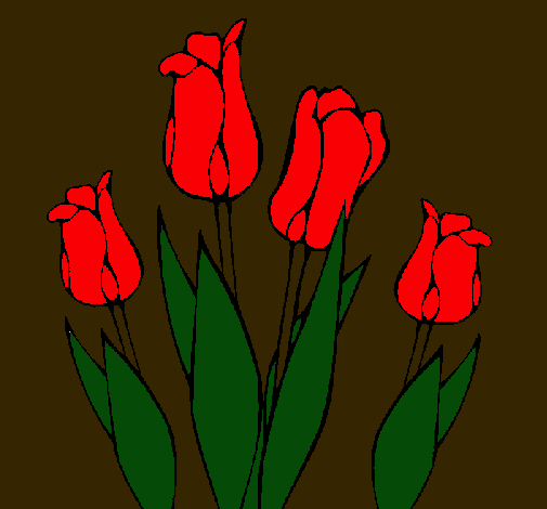 Tulipanes