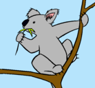 Dibujo Koala pintado por flopigb
