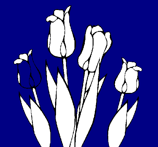 Tulipanes