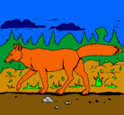 Dibujo Coyote pintado por zorro