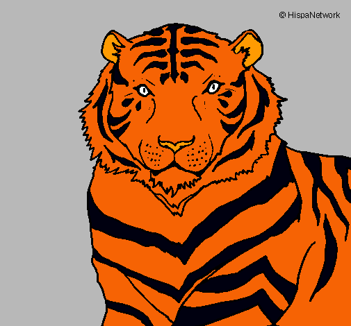 Dibujo Tigre pintado por andrus100