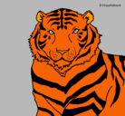 Dibujo Tigre pintado por andrus100