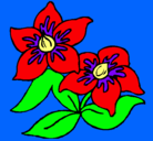 Dibujo Flores pintado por victorvp