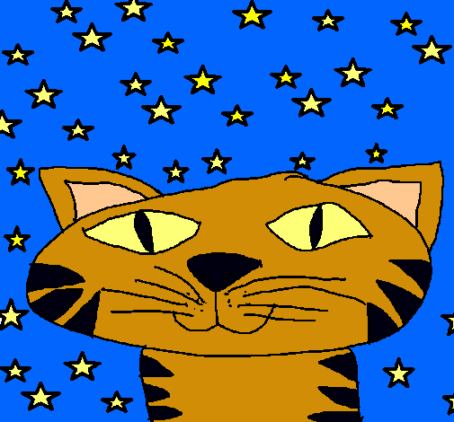 Gato y estrellas