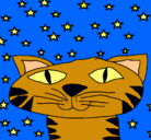 Dibujo Gato y estrellas pintado por Ananita500