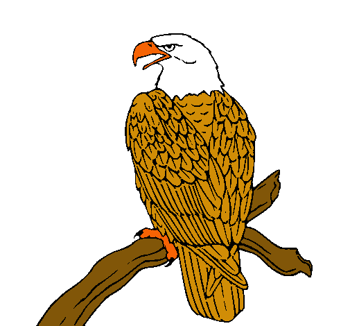 Dibujo Águila en una rama pintado por andrus100