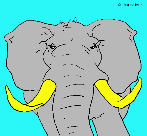 Dibujo Elefante africano pintado por chido73