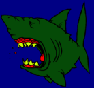 Dibujo Tiburón pintado por 6672532275