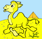 Dibujo Camello pintado por estrellapolar