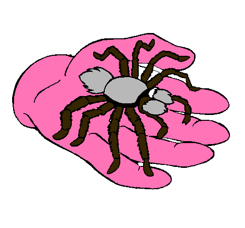 Tarántula