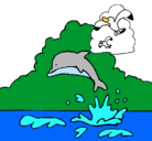 Dibujo Delfín y gaviota pintado por delfineso