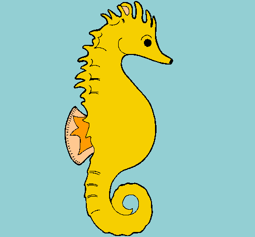 Caballito de mar