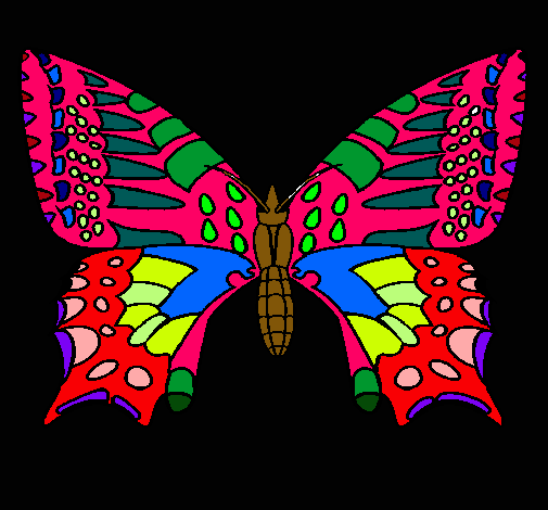 Mariposa 5