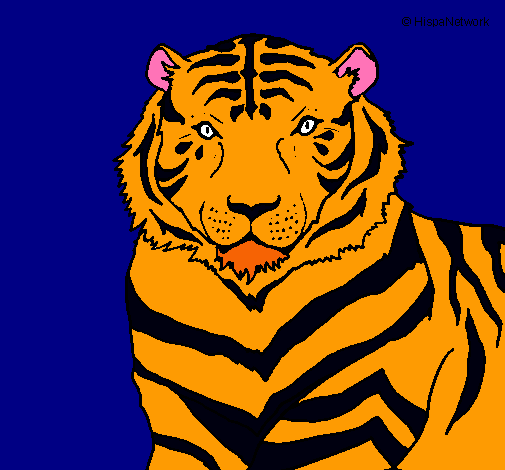 Tigre