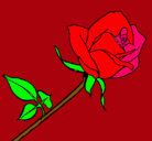 Dibujo Rosa pintado por vanesa8