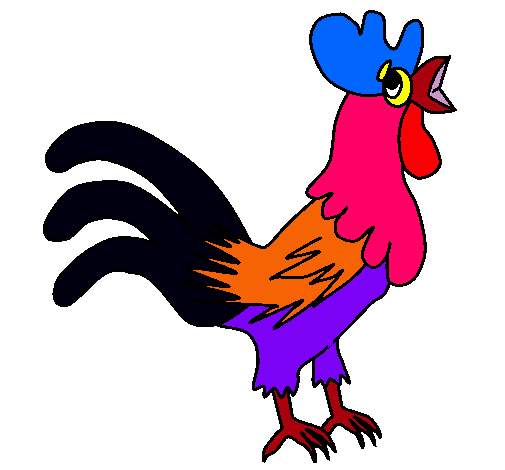 Gallo