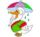 Dibujo Pato bajo la lluvia pintado por pollita