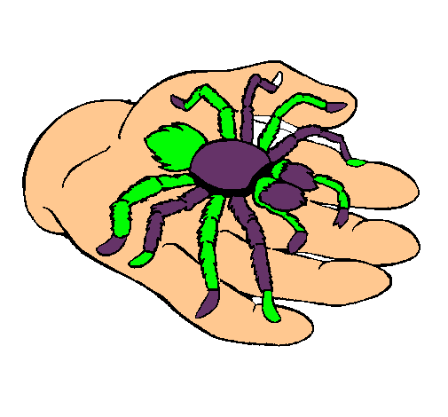 Tarántula