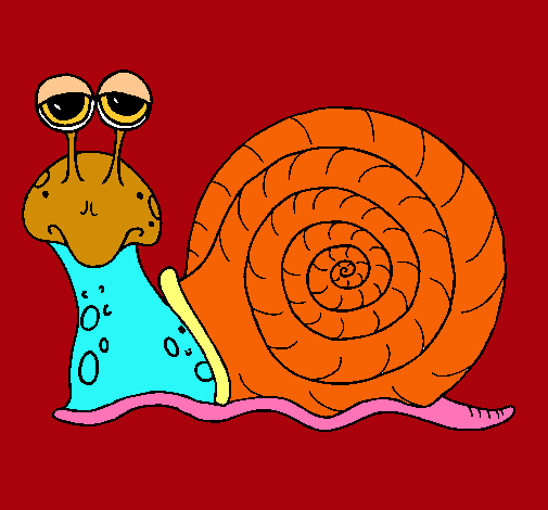 Caracol