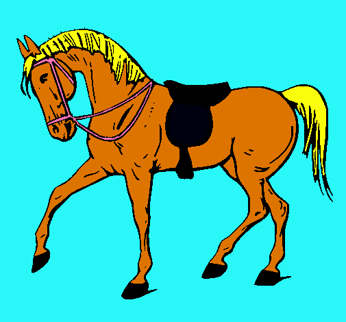 Caballo de competición