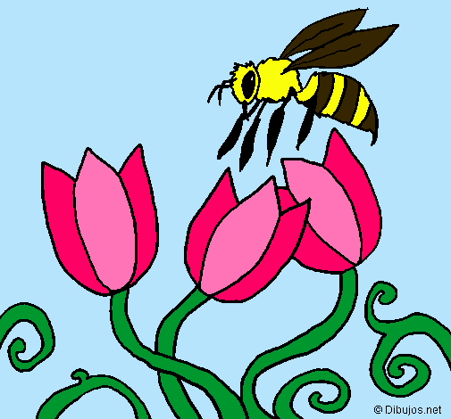 Abeja