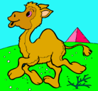 Dibujo Camello pintado por fernandi