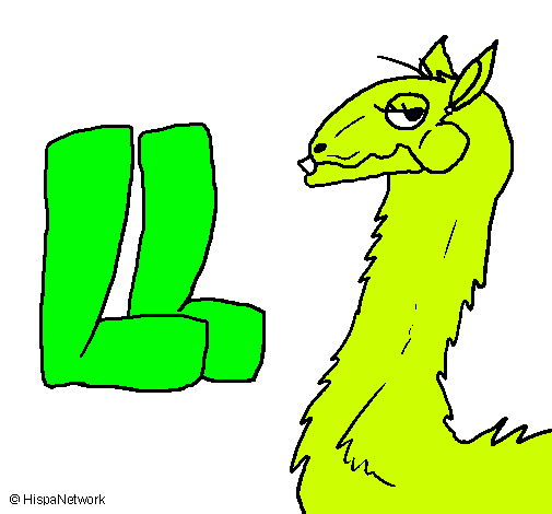 Llama