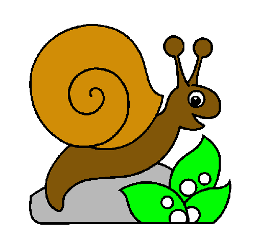 Caracol