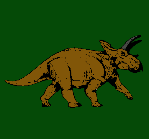 Triceratops