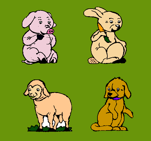 Animales de granja