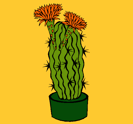 Cactus con flores