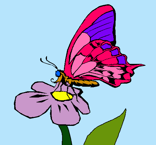 Mariposa en flor